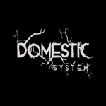 domestic system