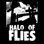 halo of flies / usa