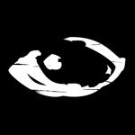 minor (label) / germany