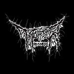 murder records / netherlands