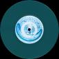 Preview: flop0004 record