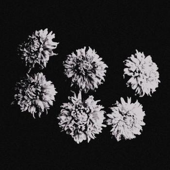 eaglehaslanded / left to starve - split