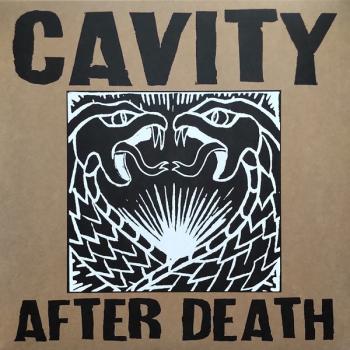 cavity - after death