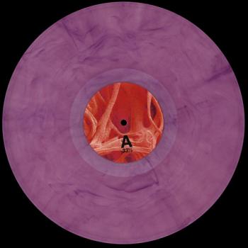 cestode - flesh purple