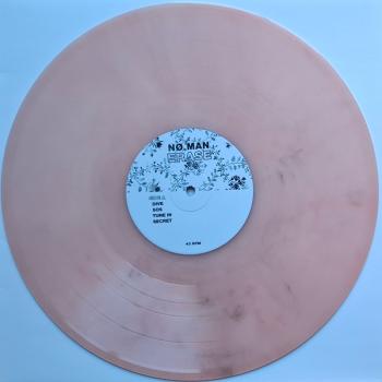 sh110 record pink