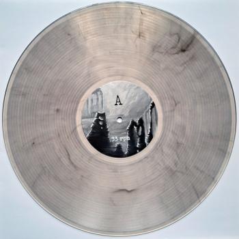 Preview: vio2024115lp record transparent