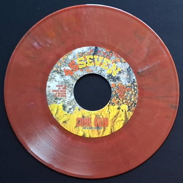 45726 colour variant 1
