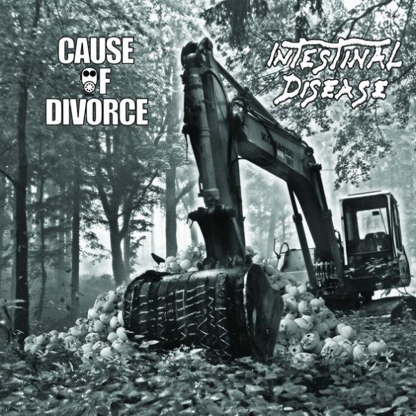 cause of divorce split