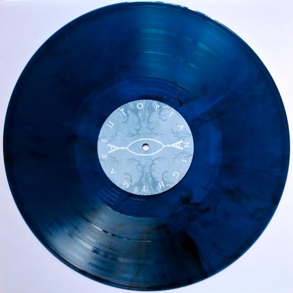 vio mmxxv-cxvi-lp record