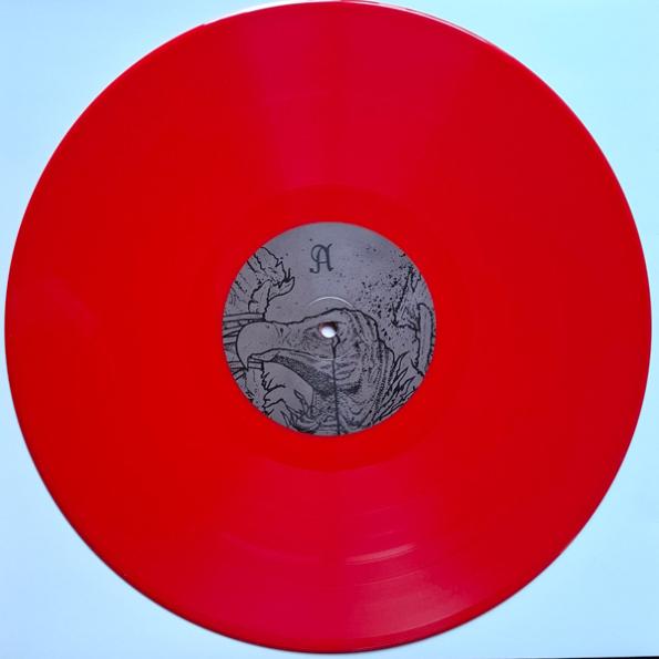 wrg213 record red